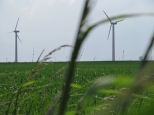 Czystość energetyczna ferm wiatrowych Kujawy