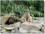 Zoo Safari Świerkocin