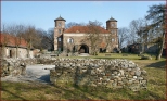 Zamek w  Toszku - widok od dziedzica