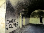 Dark wolves