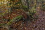 jesienny szlak na Cergową