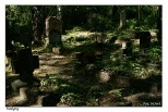 Kadyny - stary cmentarz ewangelicki w gbi lasu kadyskiego, ze sowami wstpu: Pamici tych, ktrzy yli przed nami