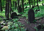Bdzin. Fragment starego cmentarza ydowskiego.