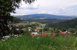 Panorama Zwardonia.