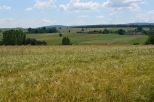 Wojciechowicki krajobraz.