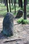 Kamienne kręgi w Węsiorach