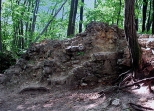Ostrężnik. Pozostałości murów dawnej twierdzy-zamku obronnego.