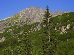 Widok na Kozi Wierch i Buczynow Siklaw z doliny Roztoki