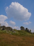 Jurajski krajobraz z okolic Mirowa.