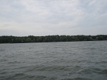 Jezioro Niegocin widok na brzeg.