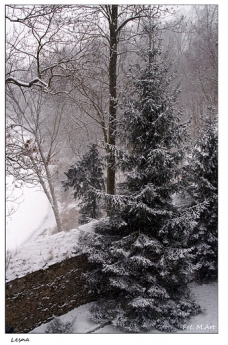 Leśna - widok z zamku