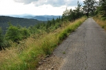 Droga na stokach Jawornika Kobylicznego (995 m n.p.m.). Góry Bialskie