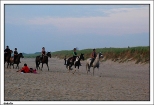 Bobolin - konie na plaży