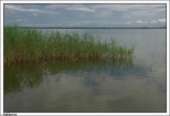 Dąbkowice - fragment jeziora Bukowo