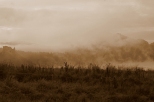 Czorsztyn - poranne mgły