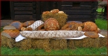 Grnolski Park Etnograficzny w Chorzowie - chleb z  tegorocznego zboa