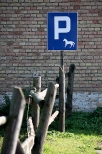 Rzucewo - parking dla koni