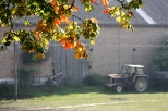 Rzucewo - jesień w gospodarstwie