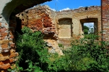 Zawieprzyce - ruiny oranżerii