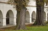 klasztor w Miedniewicach