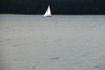 Jezioro Wigry - żaglówka w Zatoce Słupiańskiej. Wigierski Park Narodowy