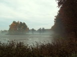 mgły nad stawami - Zaborze