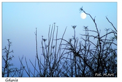 Gdynia - Gdynia Babie Doły: zmierzch
