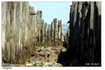 Gdynia - Gdynia Babie Doy: ruiny molo do torpedowni