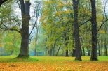 Szczawnica - w parku zdrojowym