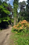 Rogowskie arboretum na wiosn