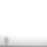 Samotnie we mgle 2