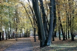 Rytwiany - radziwiłlowski park
