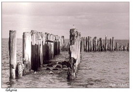 Gdynia - Gdynia Babie Doły: ruiny molo, prowadzącego do torpedowni