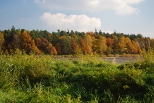 Krajobraz jesienny z okolicy Goczakowic.