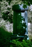 Cmentarz ydowski w Bielsku-Biaej - stella na cmentarzu