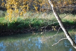Kana wodny zasilajcy stawy rybne w okolicach Bielska.