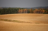 Anielewo - jesienne pola