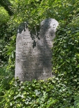 Cmentarz ydowski w Bielsku-Biaej