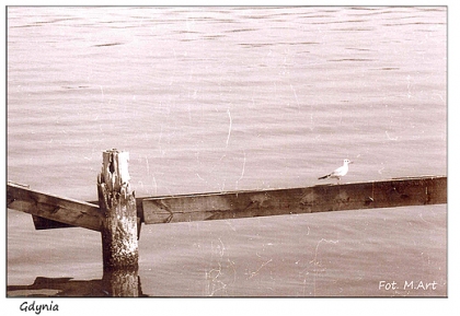 Gdynia - Gdynia Główna: ze Skweru Kościuszki