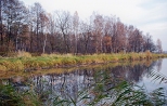 Krajobraz okolic Zabrzega.