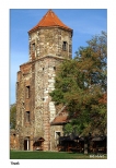 Toszek - zamek
