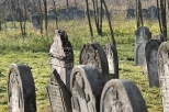 Cmentarz ydowski w Bodzentynie