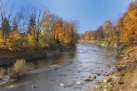 Rzeka Olza.