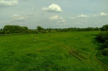 Pastwiska nad rzeką Bzurą