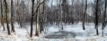 Zimowy las pod Goczakowicami.