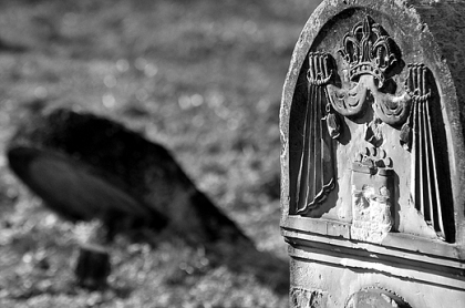 Śmierć, trawa, niepamięć i rosa... Bodzentyn