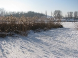 Park Szczliwicki zim