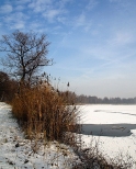 Stawy rybne w okolicy Zabrzega zimową porą.
