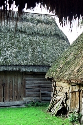 Wywłoczka - stare stodoły. Roztocze