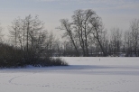 jezioro w Otwocku Wielkim (zim)